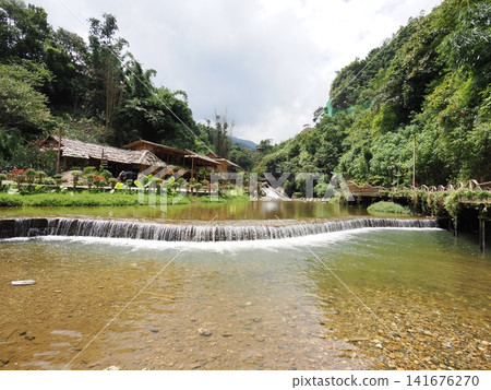 越南沙巴貓貓村 越南沙巴貓貓村 141676270