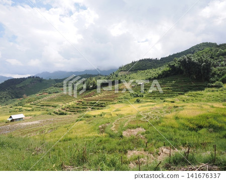 Vietnamese Sapa Vietnamese Sapa 141676337