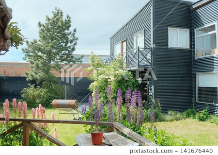 Landscapes of gardens and buildings in Puerto Natales Landscapes of gardens and buildings in Puerto Natales 141676440