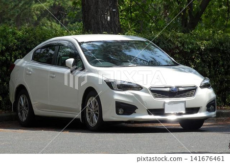 汽車停在停車場 141676461