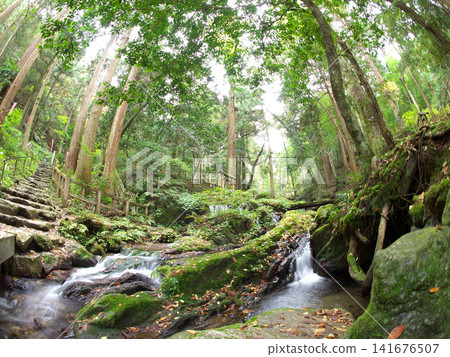 A mysterious waterfall in the forest A mysterious waterfall in the forest 141676507