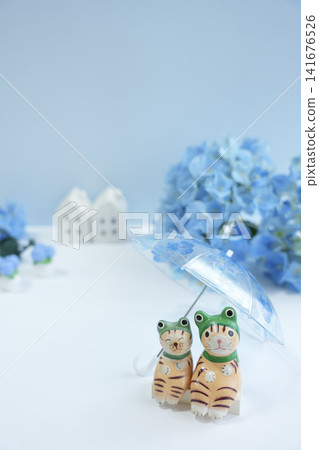 The image of hydrangea flowers and sheltering from the rain The image of hydrangea flowers and sheltering from the rain 141676526
