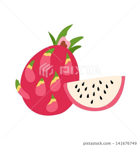 illustration of dragonfruit with slice illustration of dragonfruit with slice 141676749