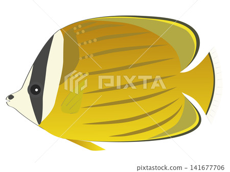可愛的卡通風格蝴蝶魚插圖 可愛的卡通風格蝴蝶魚插圖 141677706
