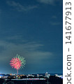 Large flowers blooming in the summer night sky 141677913
