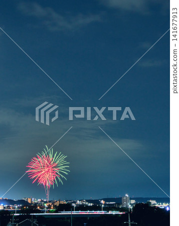 盛開在夏日夜空的大朵花朵 盛開在夏日夜空的大朵花朵 141677913