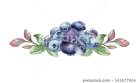 Watercolor illustration of fresh ripe blueberries with green branches isolated white. Forest blue berry cluster and leaves hand painted. Blueberries bunchand foliage for menu, packaging design. Watercolor illustration of fresh ripe blueberries with green branches isolated white. Forest blue berry cluster and leaves hand painted. Blueberries bunchand foliage for menu, packaging design. 141677924