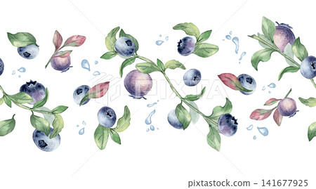 Seamless border of blueberry hand drawn watercolor isolated white. Botanical repeat of fresh berry with leaf and water drops. Decorative fruit horizontal background for kitchen textile and packaging. Seamless border of blueberry hand drawn watercolor isolated white. Botanical repeat of fresh berry with leaf and water drops. Decorative fruit horizontal background for kitchen textile and packaging. 141677925