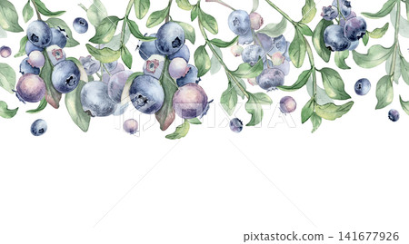 Fresh berries on branches watercolor seamless border isolated. Blueberries plant botanical sketch hand painted. Summer freshness of fruits repeat edge design for invitations or healthy food package. 141677926
