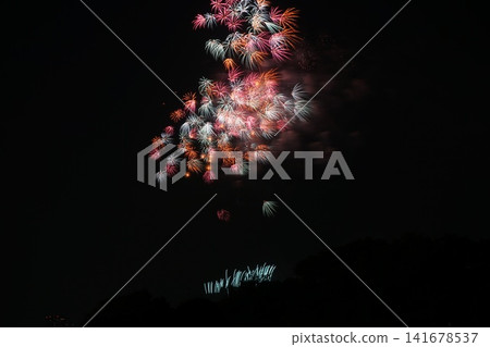 Edogawa Ward Firework Display Edogawa Ward Firework Display 141678537