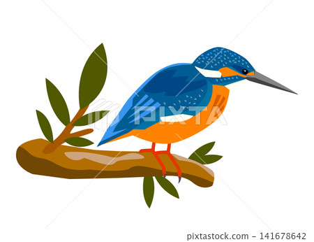 一幅翠鳥在樹頂覓食的插圖。 一幅翠鳥在樹頂覓食的插圖。 141678642