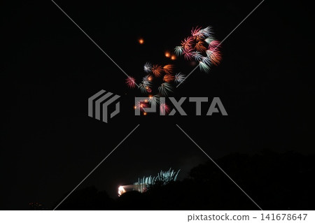 Edogawa Ward Firework Display Edogawa Ward Firework Display 141678647