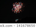 Edogawa Ward Firework Display 141678650