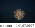 Edogawa Ward Firework Display 141678657