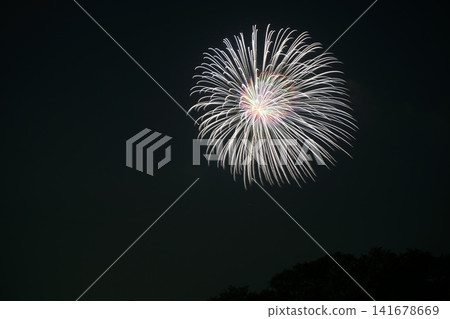 Edogawa Ward Firework Display Edogawa Ward Firework Display 141678669