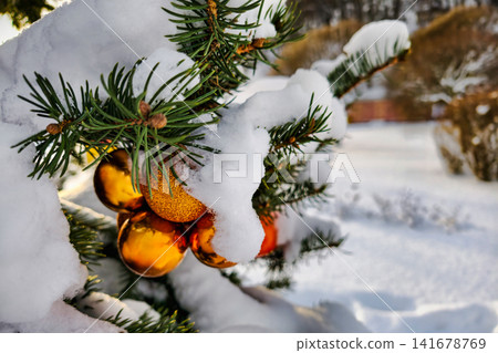 A Christmas tree shows colorful ornaments while snow covers its branches. The scene reflects winter and holiday spirit in a quiet place A Christmas tree shows colorful ornaments while snow covers its branches. The scene reflects winter and holiday spirit in a quiet place 141678769
