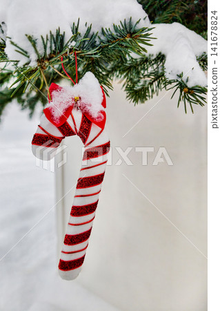 A candy cane hangs from a green tree branch covered in snow. The scene shows a festive atmosphere in winter during the holiday season A candy cane hangs from a green tree branch covered in snow. The scene shows a festive atmosphere in winter during the holiday season 141678824