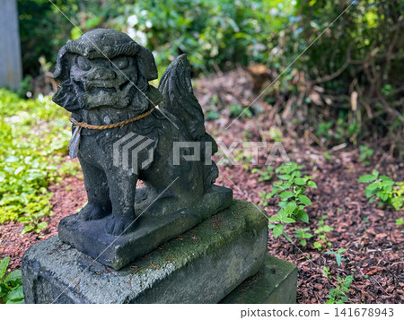 Ebisu Shrine, guardian lion-dogs, Otaru City, Hokkaido, early summer 141678943
