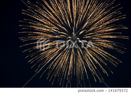 Fireworks display (Edogawa Fireworks Festival 2026) Fireworks display (Edogawa Fireworks Festival 2026) 141679372