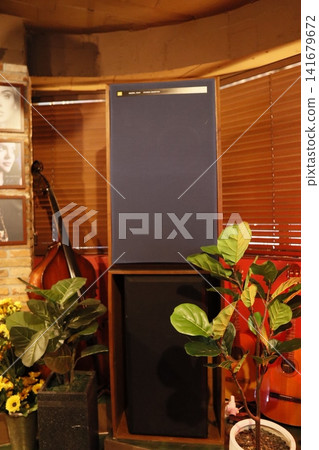 Cozy Interior with Musical Instruments and Plants 141679672