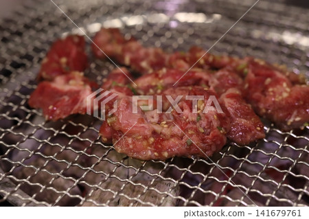 Grilled Meat Preparation Grilled Meat Preparation 141679761