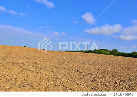 Plowed Agricultural Field Under Blue Sky. Plowed Agricultural Field Under Blue Sky. 141679842