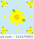 Bright yellow sunflowers with seeds and green leaves on a blue background 141679902