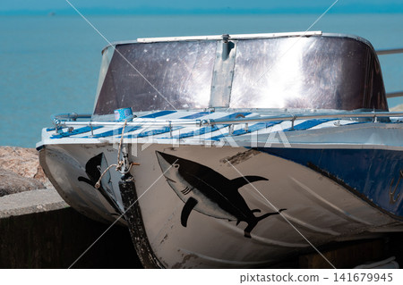 Speedboat Moored at Harbor with Shark Graphics on Hull Speedboat Moored at Harbor with Shark Graphics on Hull 141679945