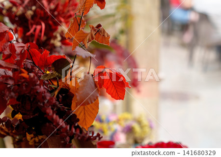 Close-up of bright red and orange dried beech leaves (Fagus) in an autumn floral arrangement outside a flower shop creating a warm seasonal atmosphere Close-up of bright red and orange dried beech leaves (Fagus) in an autumn floral arrangement outside a flower shop creating a warm seasonal atmosphere 141680329