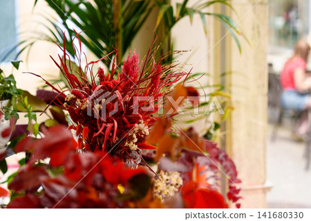 Vibrant crimson floral arrangement made of dried botanicals against a background of a boutique flower store interior and lush green palms Vibrant crimson floral arrangement made of dried botanicals against a background of a boutique flower store interior and lush green palms 141680330