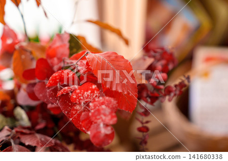 Decorative arrangement made of dried red branches. Preserved leaves displayed on a shelf inside a flower shop. Seasonal botanical composition with autumn colors and natural textures Decorative arrangement made of dried red branches. Preserved leaves displayed on a shelf inside a flower shop. Seasonal botanical composition with autumn colors and natural textures 141680338