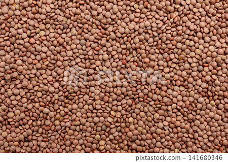 Top view of dry brown lentils. Abstract culinary background with natural texture. Organic legumes Top view of dry brown lentils. Abstract culinary background with natural texture. Organic legumes 141680346
