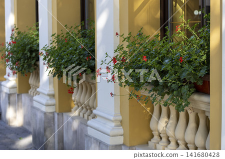 Sunlit building facade with window flower boxes, classical stone balustrade, paired columns and warm ochre stucco, showing lush red blossoms, green foliage and elegant architectural detail Sunlit building facade with window flower boxes, classical stone balustrade, paired columns and warm ochre stucco, showing lush red blossoms, green foliage and elegant architectural detail 141680428