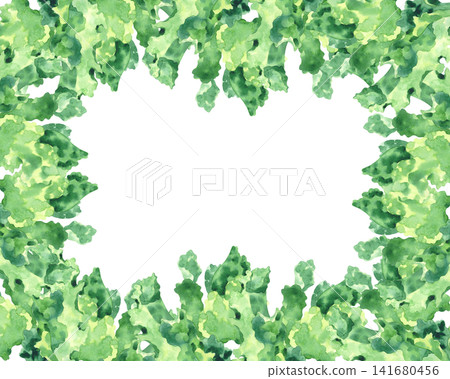 Frame of the lettuce. Watercolor illustration. Handmade art work. For packaging design, cards, cover, prints, product labels and fabric. Frame of the lettuce. Watercolor illustration. Handmade art work. For packaging design, cards, cover, prints, product labels and fabric. 141680456