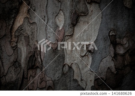 Abstract Tree Bark Texture Background with Peeling Natural Patterns, Detailed Organic Wood Surface Abstract Tree Bark Texture Background with Peeling Natural Patterns, Detailed Organic Wood Surface 141680626