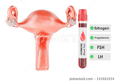 Uterus with ovaries with blood sample tube and hormone checklist for estrogen, progesterone, FSH and LH testing, fertility assessment and reproductive healthcare, 3d rendering Uterus with ovaries with blood sample tube and hormone checklist for estrogen, progesterone, FSH and LH testing, fertility assessment and reproductive healthcare, 3d rendering 141681034