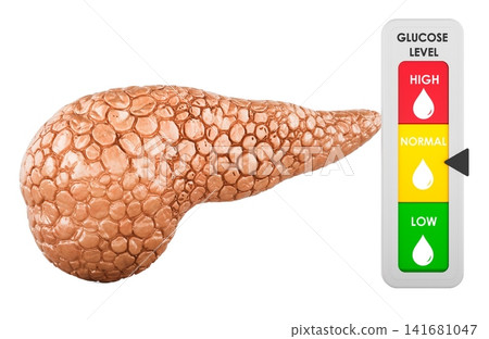 Pancreas with normal glucose level indicator. 3d rendering Pancreas with normal glucose level indicator. 3d rendering 141681047