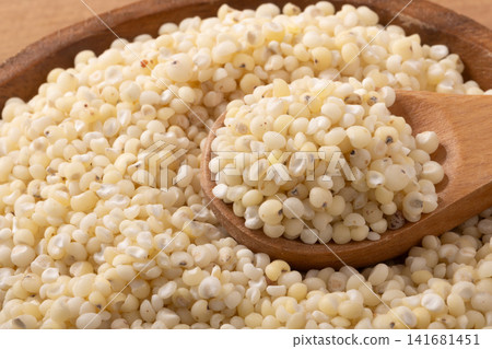 [American-grown] White Sorghum (White Millet) 141681451