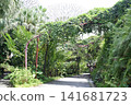 新加坡濱海灣花園綠道 新加坡濱海灣花園綠道 141681723