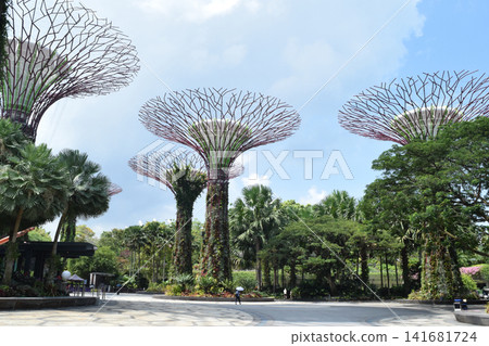 Singapore Gardens by the Bay Singapore Gardens by the Bay 141681724