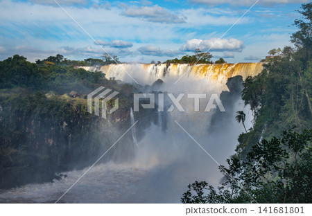 The massive water wall of Iguazu disappears into the roaring mist. The massive water wall of Iguazu disappears into the roaring mist. 141681801