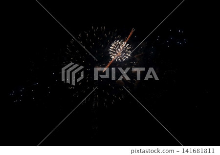 Fireworks display (Edogawa Fireworks Festival 2026) Fireworks display (Edogawa Fireworks Festival 2026) 141681811