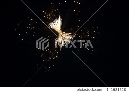 Fireworks display (Edogawa Fireworks Festival 2026) Fireworks display (Edogawa Fireworks Festival 2026) 141681828