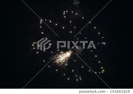 Fireworks display (Edogawa Fireworks Festival 2026) Fireworks display (Edogawa Fireworks Festival 2026) 141681829