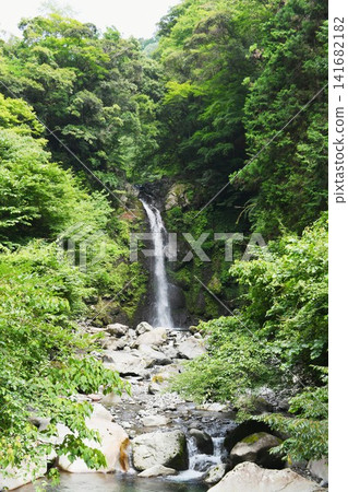 【富士市鈴川谷“大野瀑布”,落差21公尺】 【富士市鈴川谷“大野瀑布”,落差21公尺】 141682182