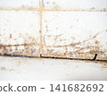 Brown mold on white tiles in the bathroom. Mold in the cracks between the tiles. House bacteria concept. 141682692