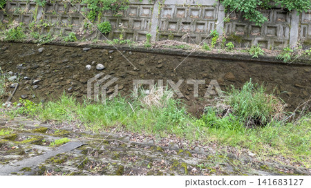 Kasumigawa Kasumigawa 141683127