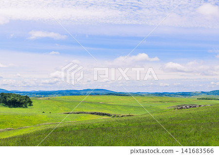Large-scale ranch in northern Hokkaido Large-scale ranch in northern Hokkaido 141683566