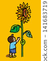 A little boy looking up at a big sunflower 141683719