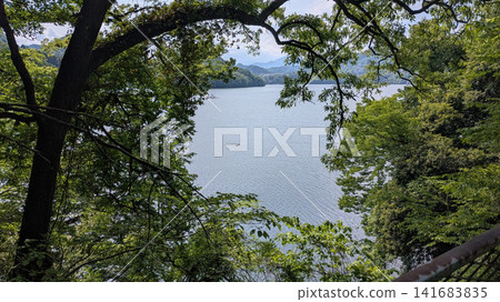 Lake Sagami 141683835
